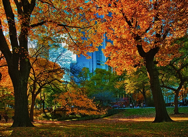 NEW YORK CITY-013.JPG