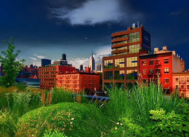 NEW YORK CITY-014.JPG