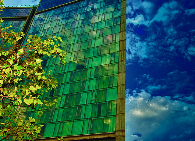 NEW YORK CITY-015.JPG