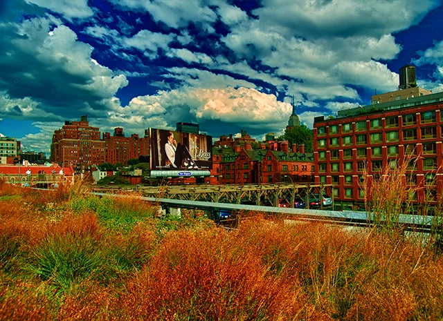 NEW YORK CITY-016.JPG