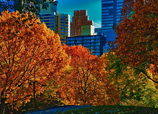 NEW YORK CITY-017.JPG