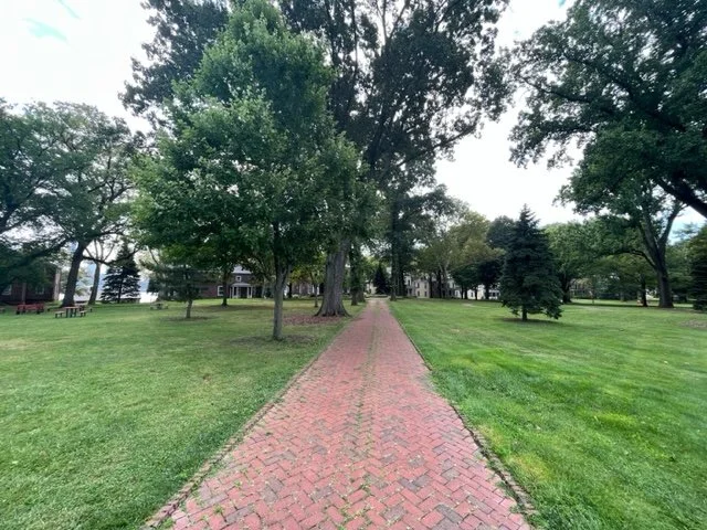 Gov Island 2023 4.jpeg