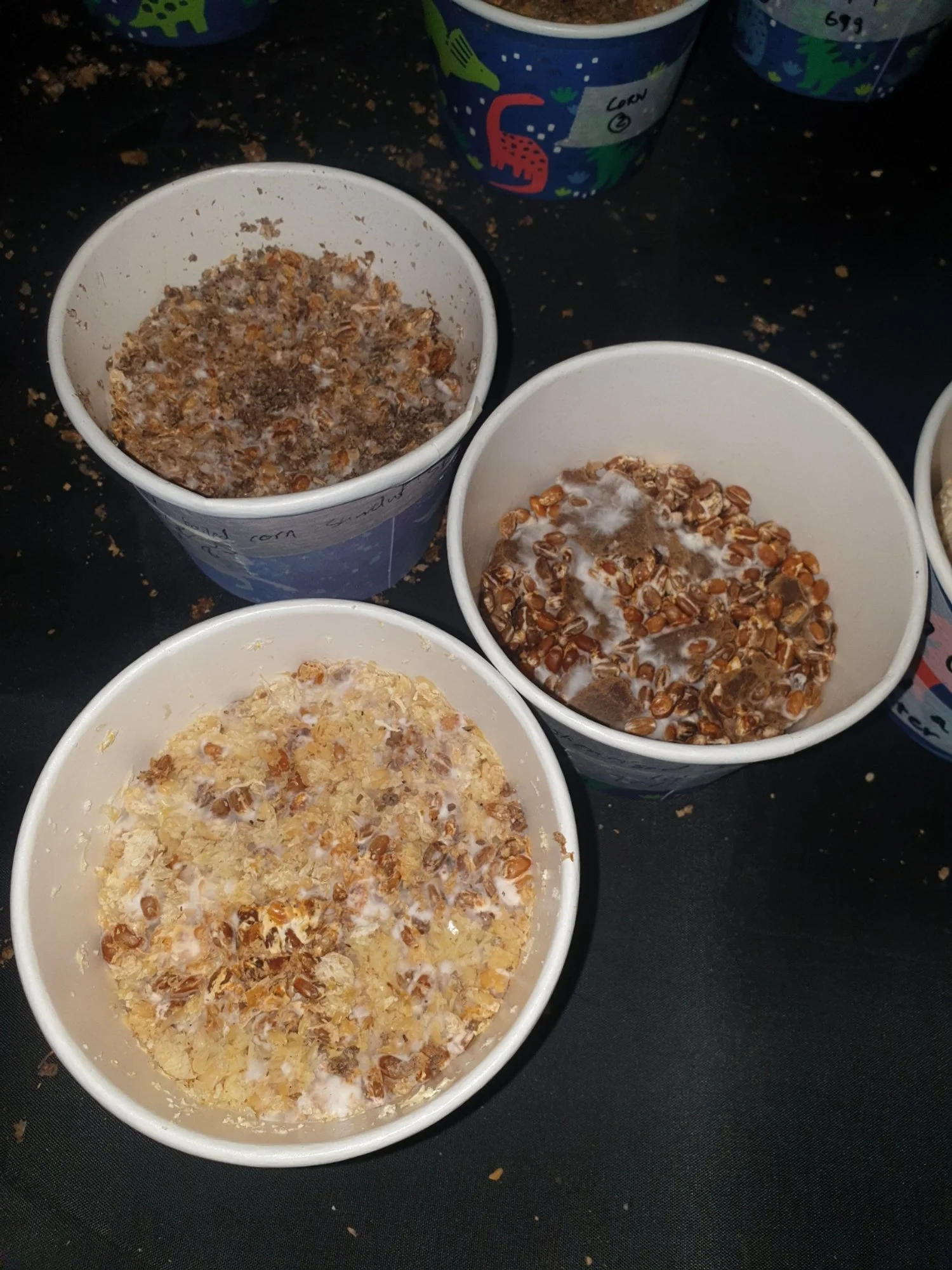  Mycelium  This project aims to make a ‘shaped/moulded product’ with grown mushrooms and biomass waste through heating/baking. It seeks to reduce waste and find eco-friendly (biodegradable) alternatives to construction materials