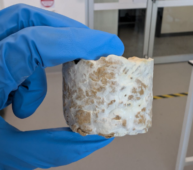  Mycelium  
This project’s aim is to explore making shaped/moulded mycelium-based products with different substrates. It seeks to reduce waste and replace products such as polystyrene packaging as a low-emission alternative.
