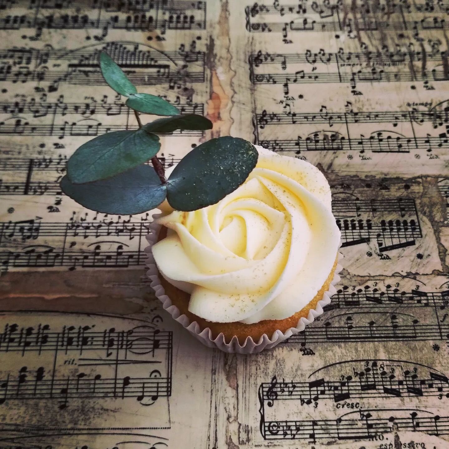 A sneak peek at today's wedding treats 💕

#playingcake #cupcakes #weddingcake #bonboniere #handmade #madefromscratch #luvyalockyer #lockyervalley #branellhomestead