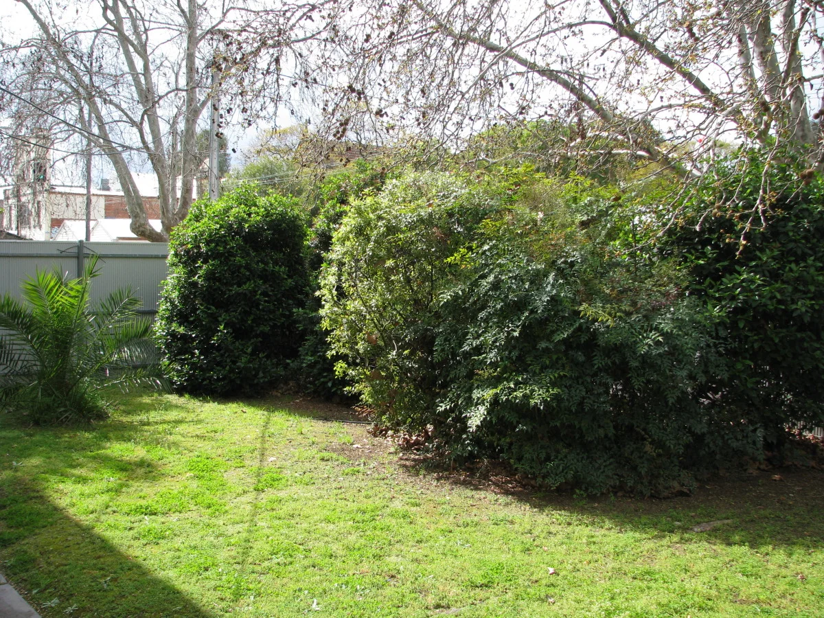 Front garden - shared