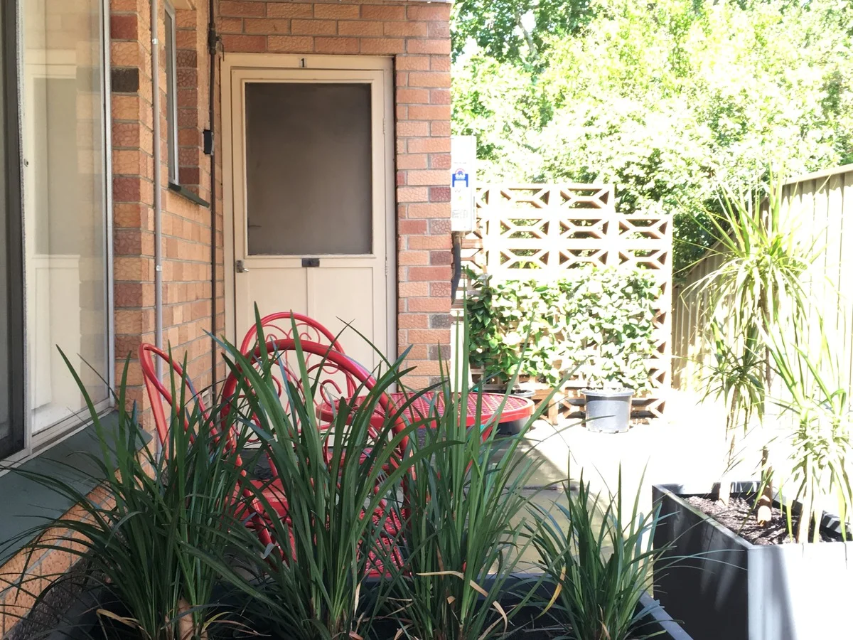 Outdoor area - small lime and lemon trees for your use
