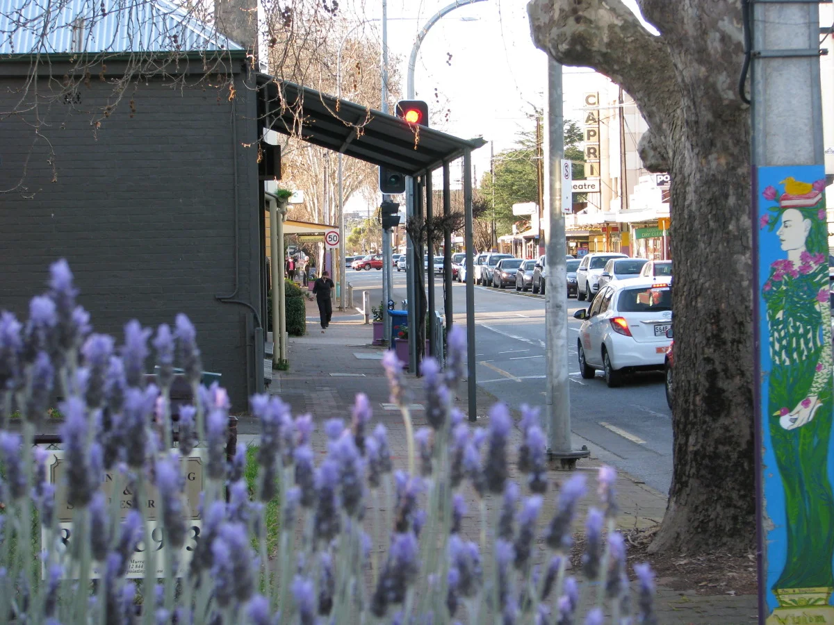 Front of apartment block - street view, looking toward Capri Theatre