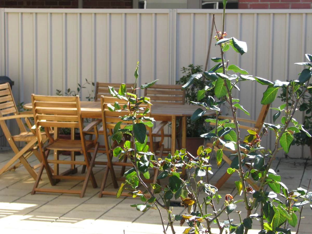 Barbecue area