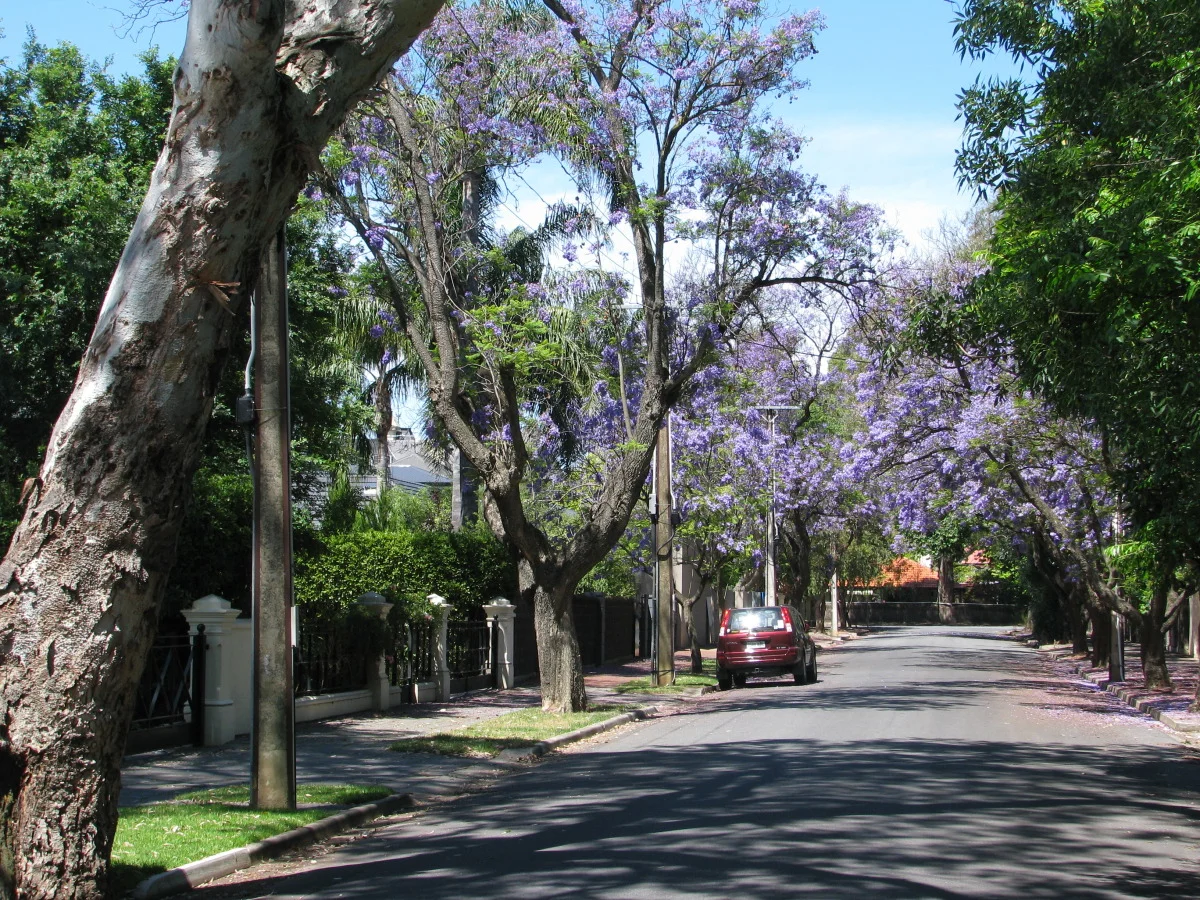 Malcolm Street