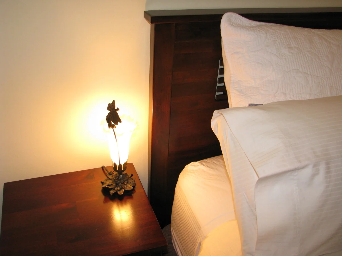Queen bedroom: deco dragonfly lamp