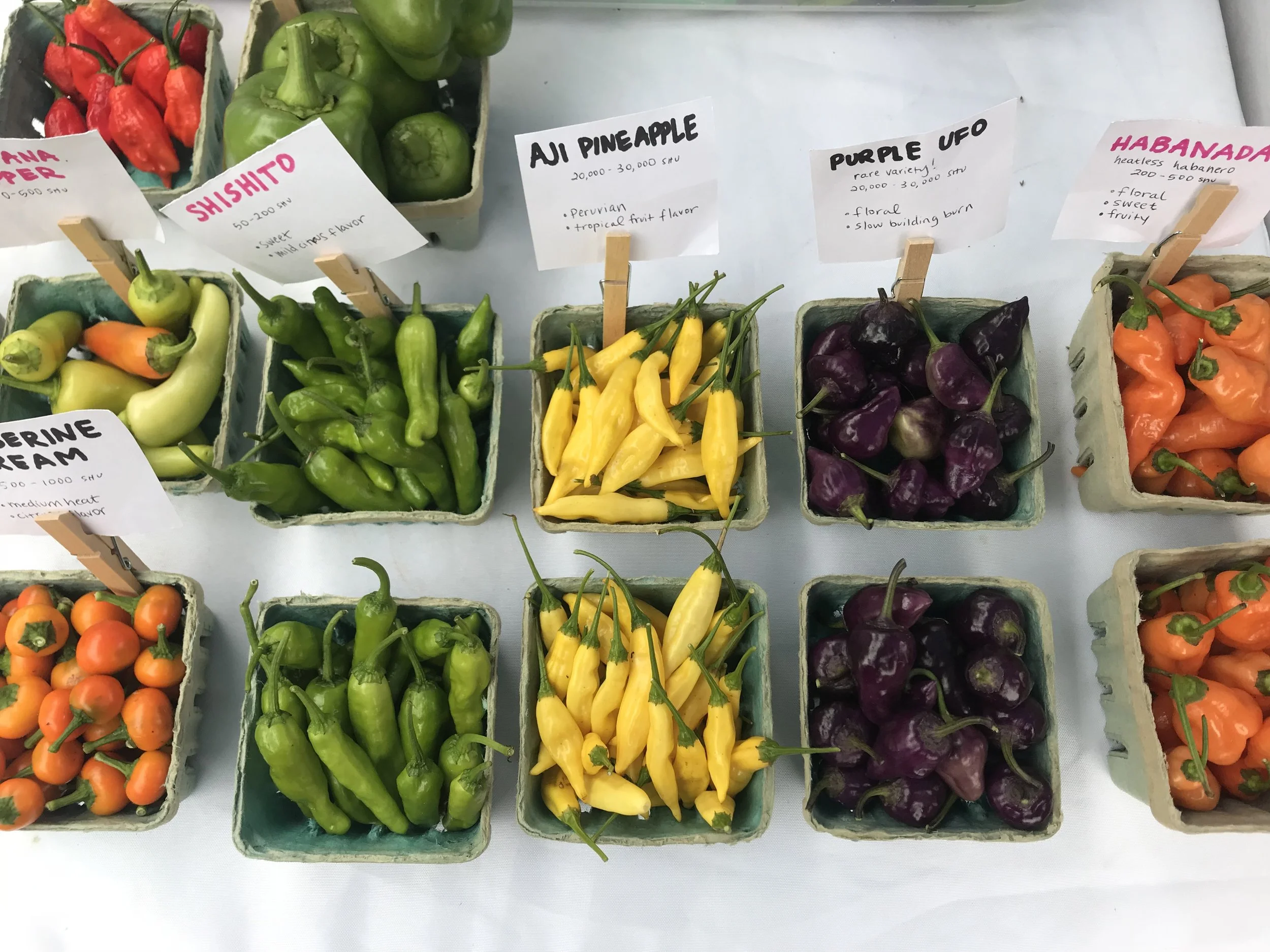 Local interest. Marquee. Друзья в университете. Жители никарагуа. Perfumery кфар сава.