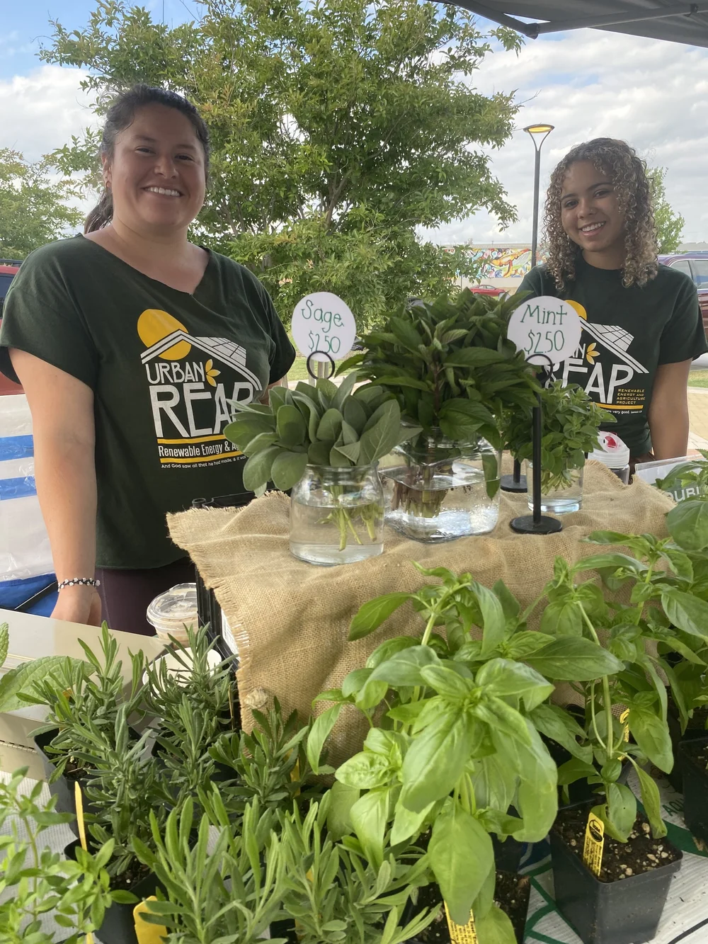 become a vendor — waco downtown farmers market