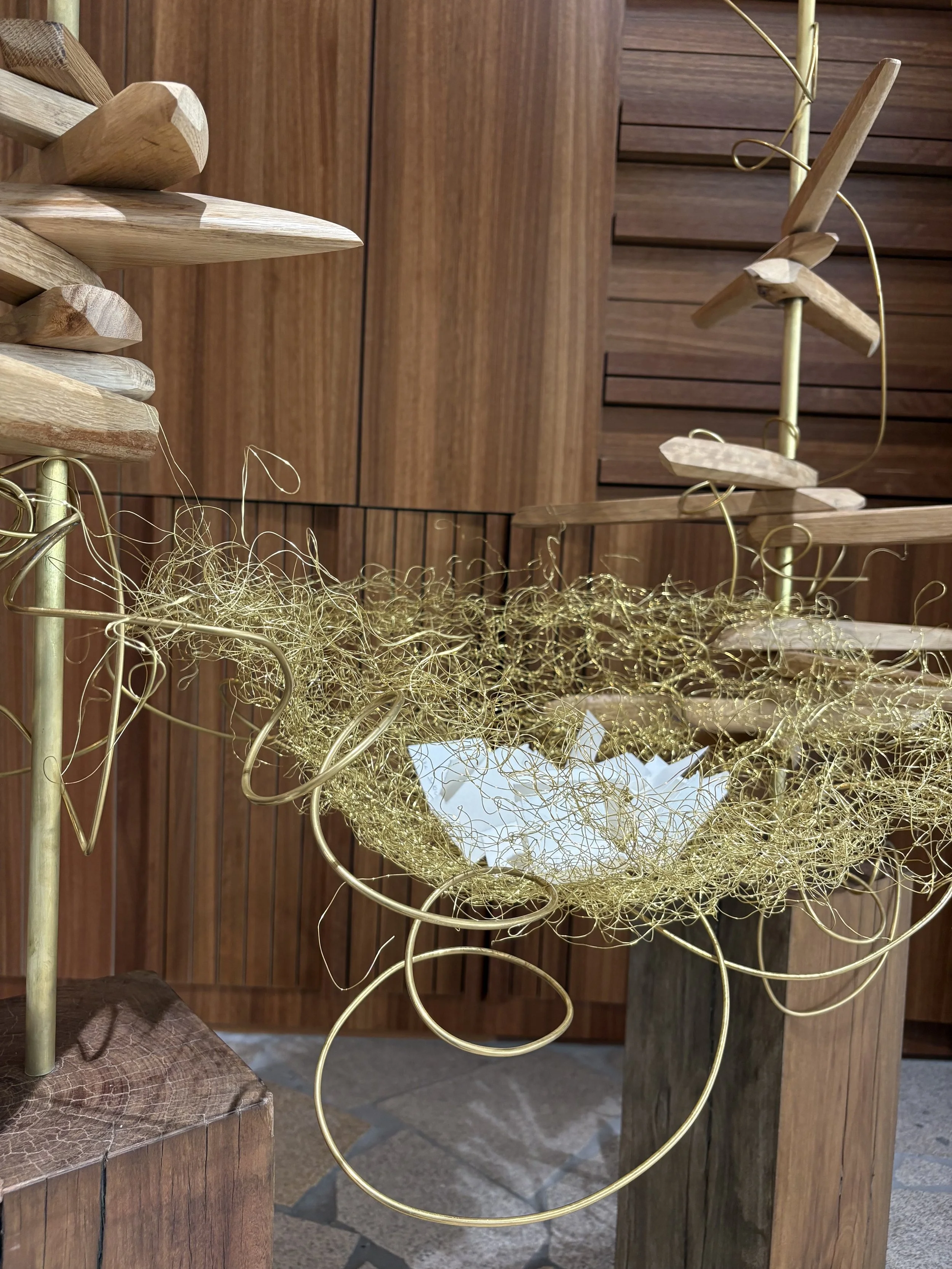 Reassurance wire nest.jpg