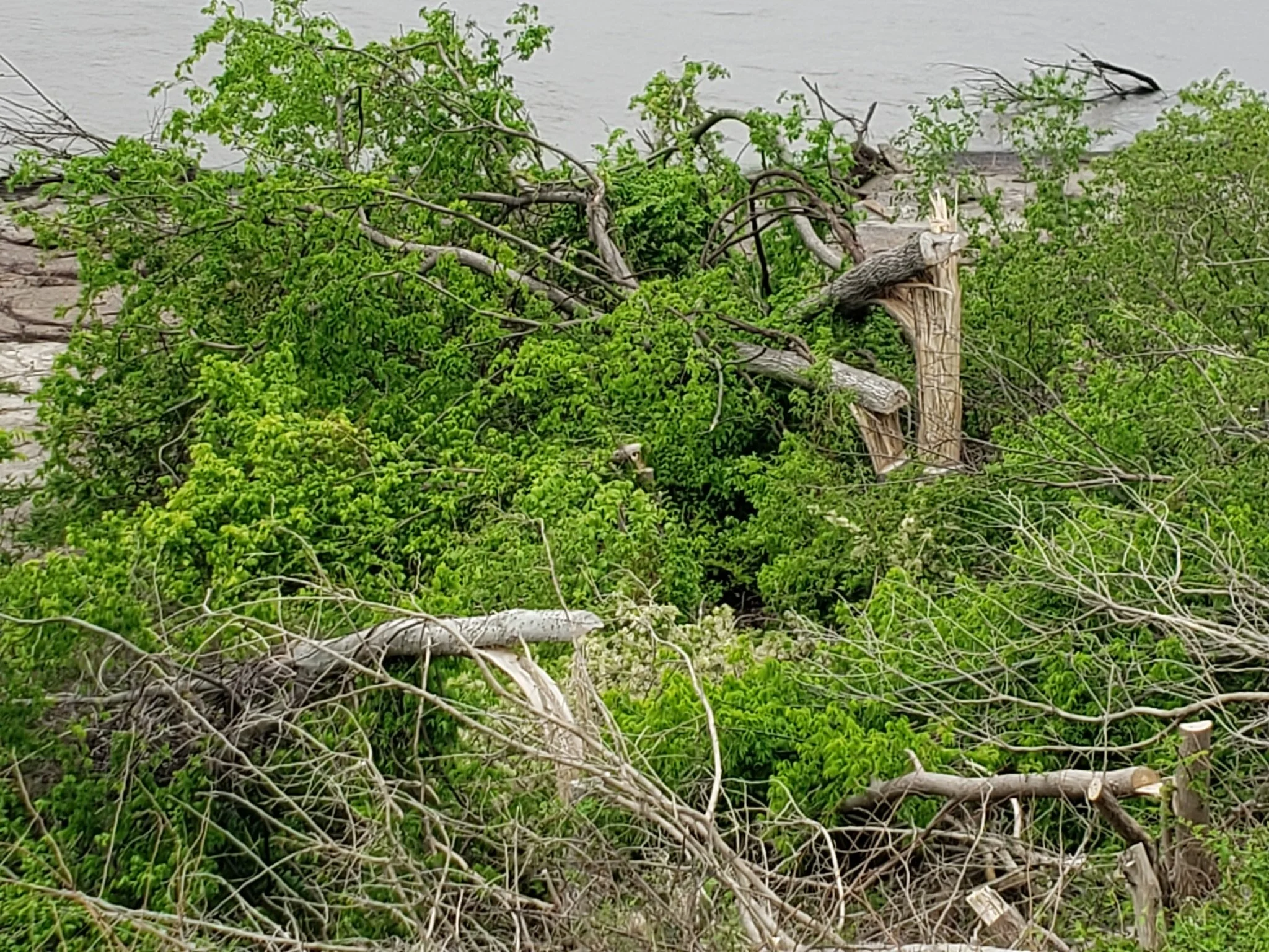 Harming the Future for a Room With a View