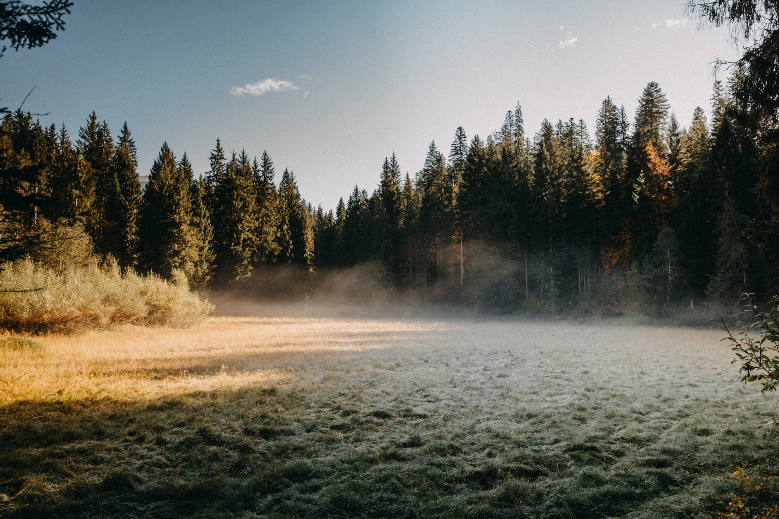 Journeys and Clearings