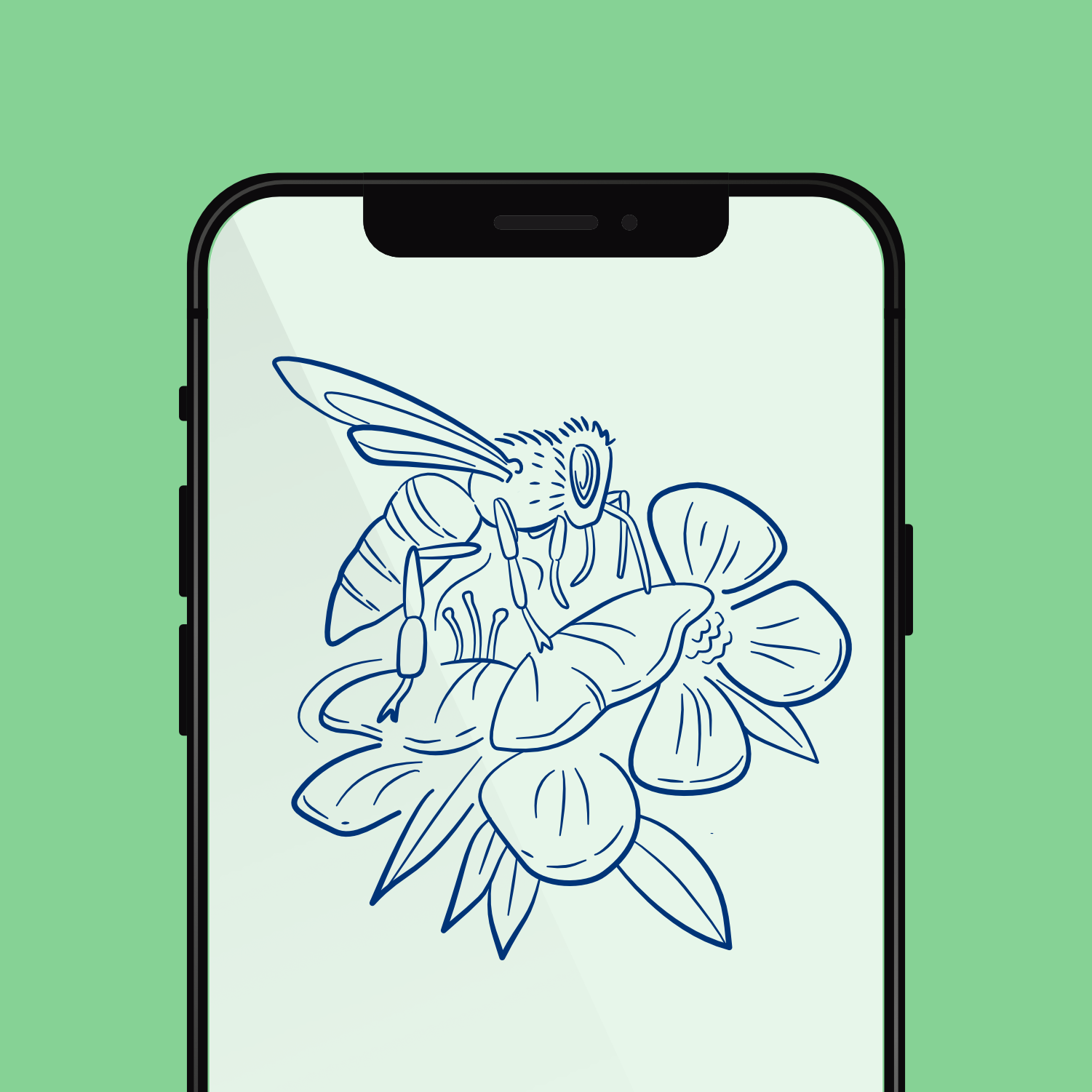 WEBSITE ILLUSTRATIONS MAS