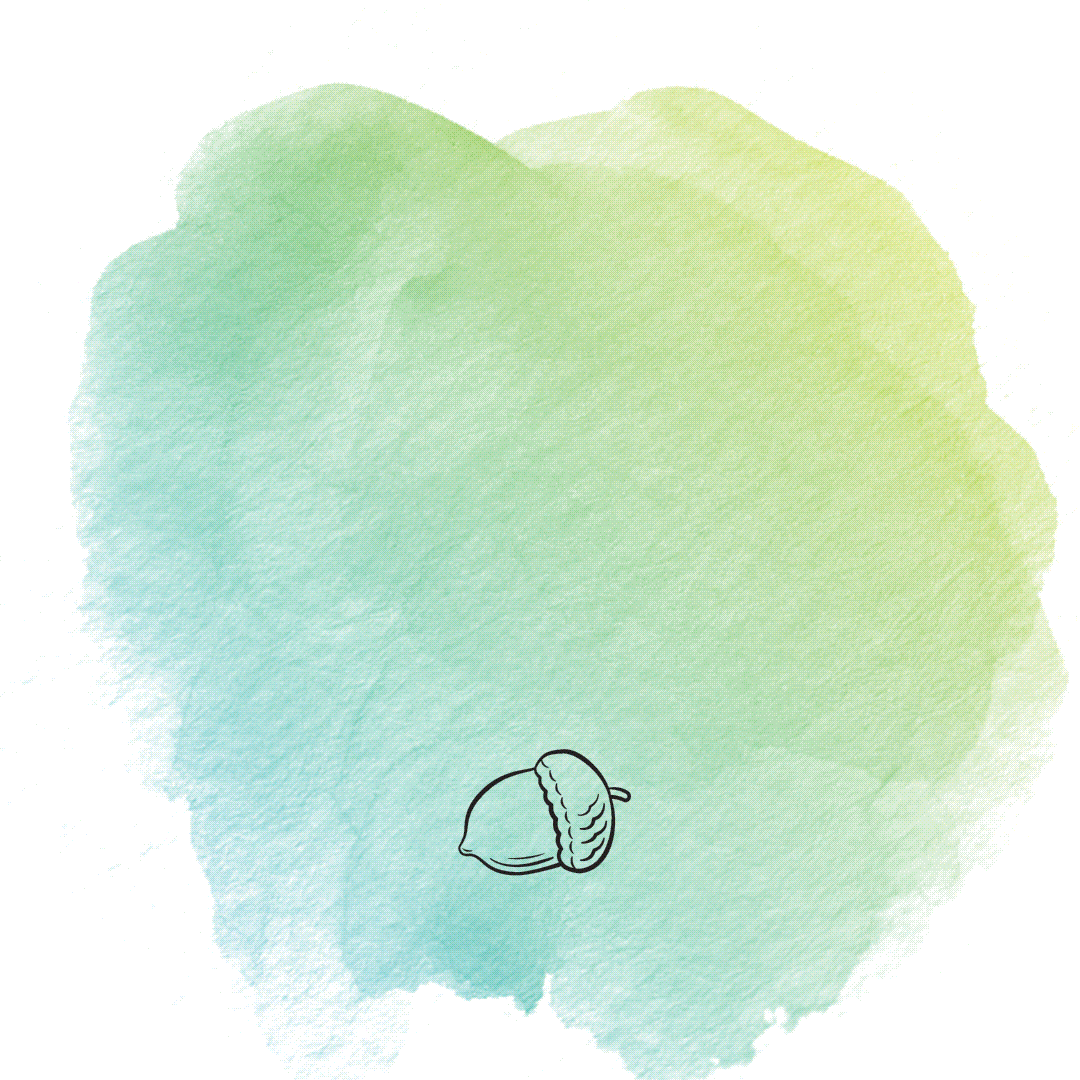 Rituals slideshow v1.gif