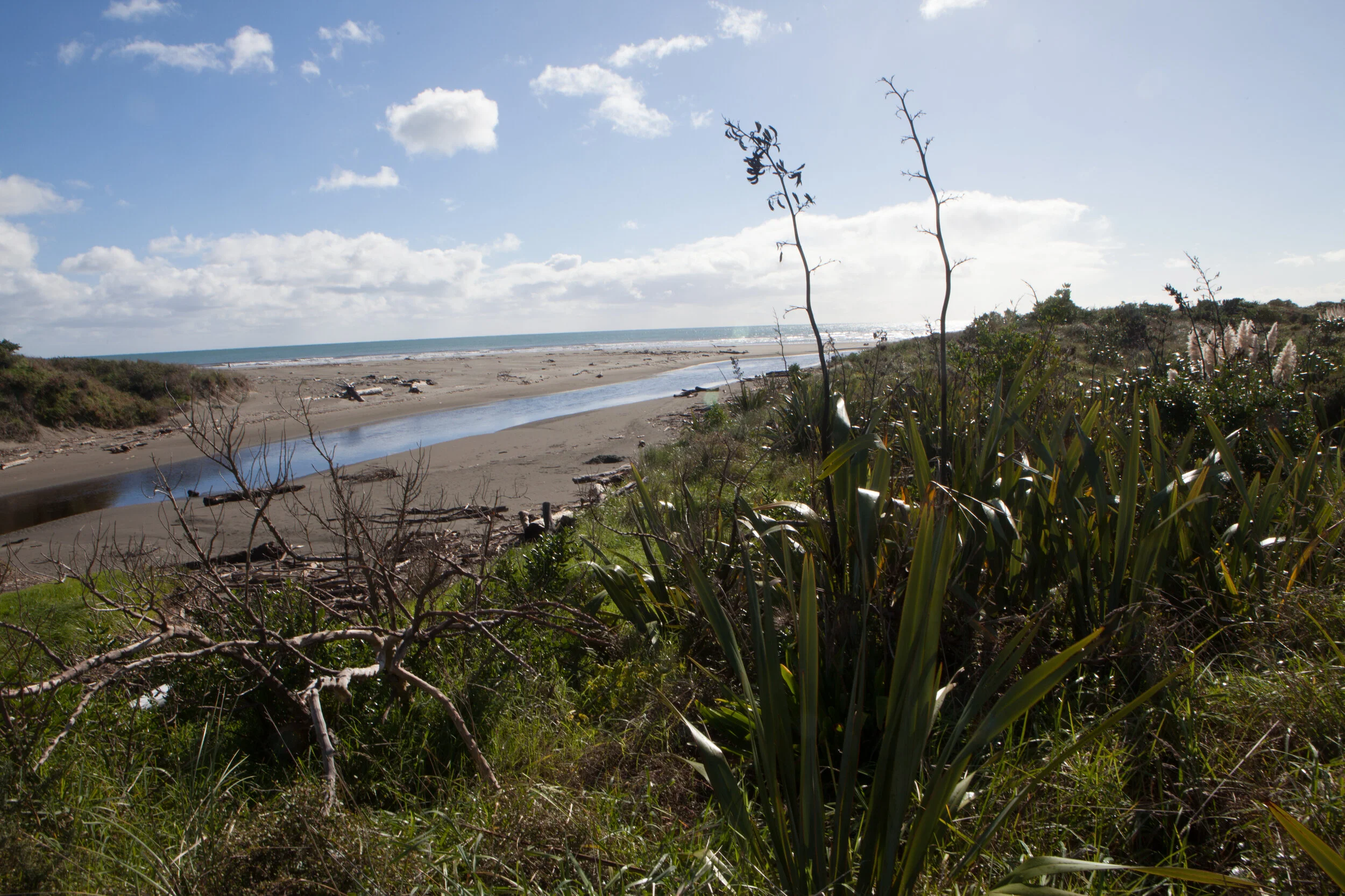 House Design, Kapiti, Lovell O’Connell Architects, Wellington
