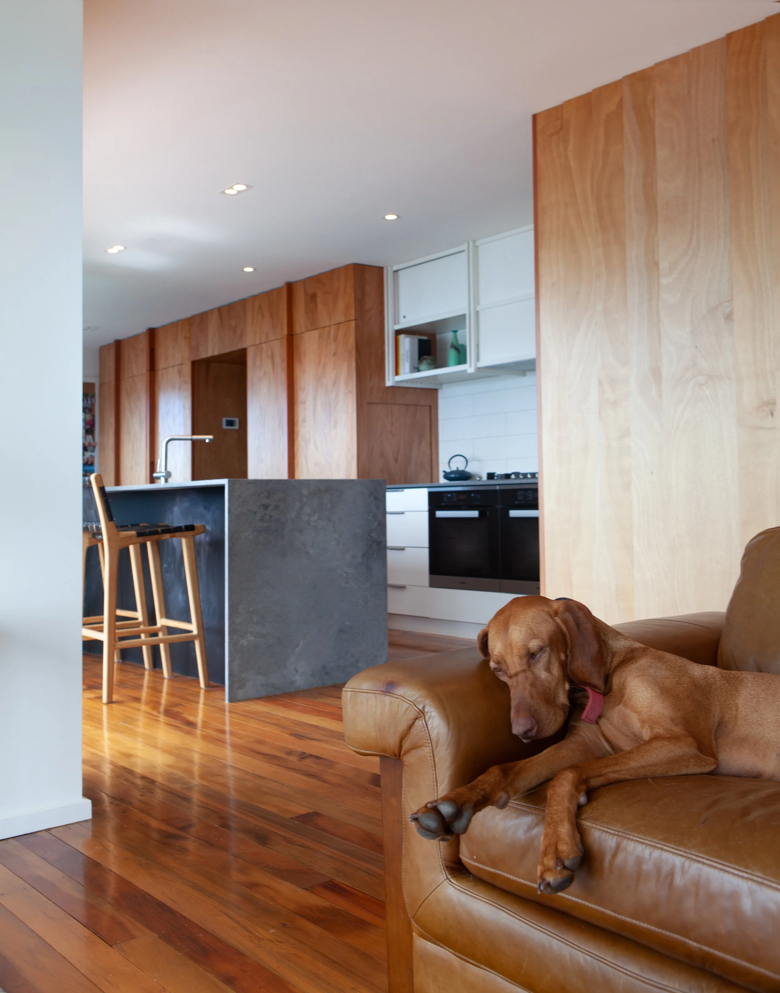 Lyall Bay Family Home Renovation