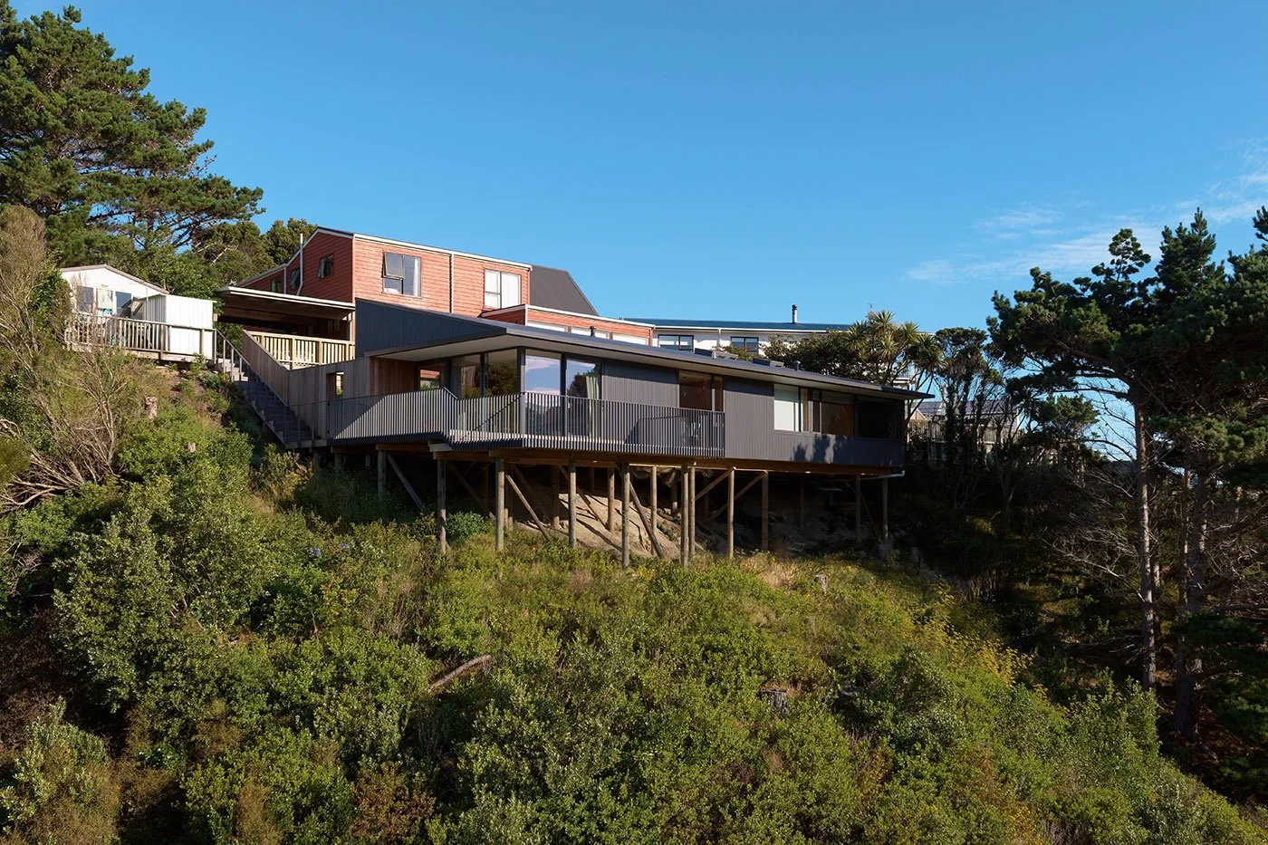 Architectural sol ution for a steep Wellington section. A design - based new house build that transforms an overgrown rear garden into a functional residential site with a respectful footprint