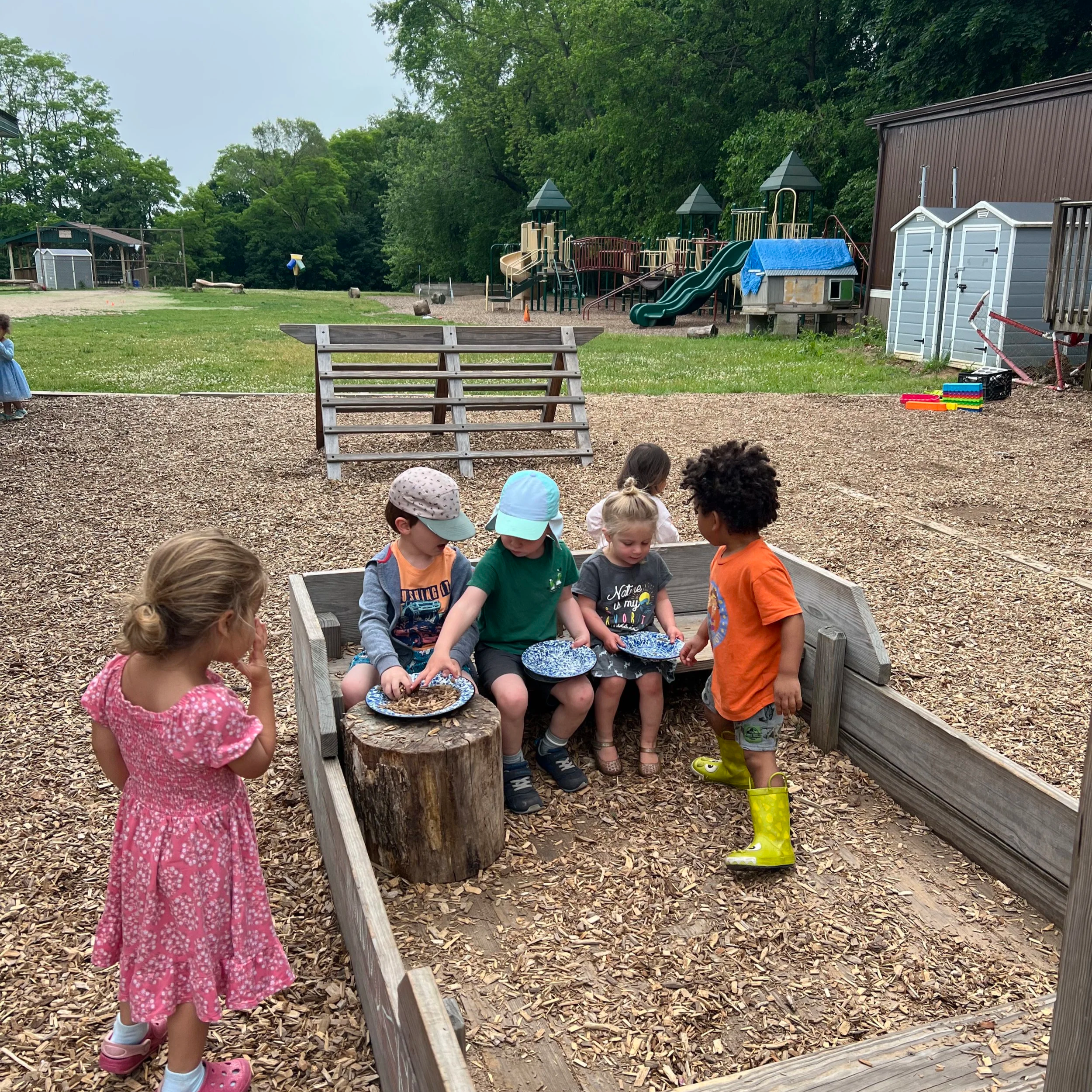 Week 2: June 15 - 19