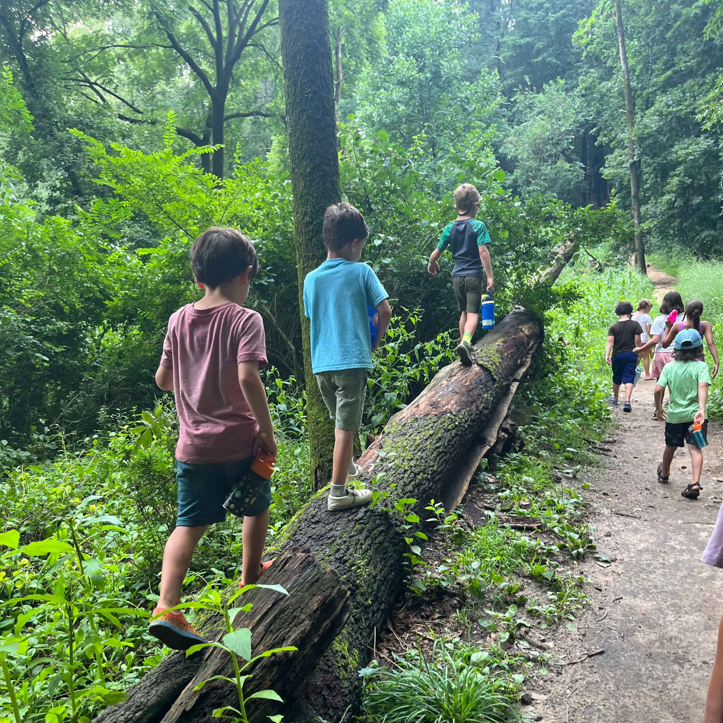 Week 6: July 20 - 24