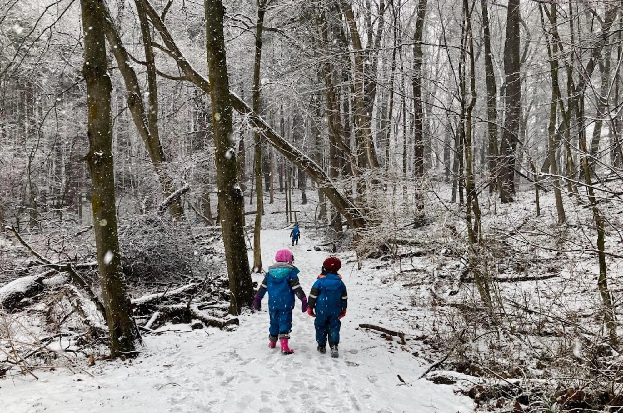No School—Winter Break 