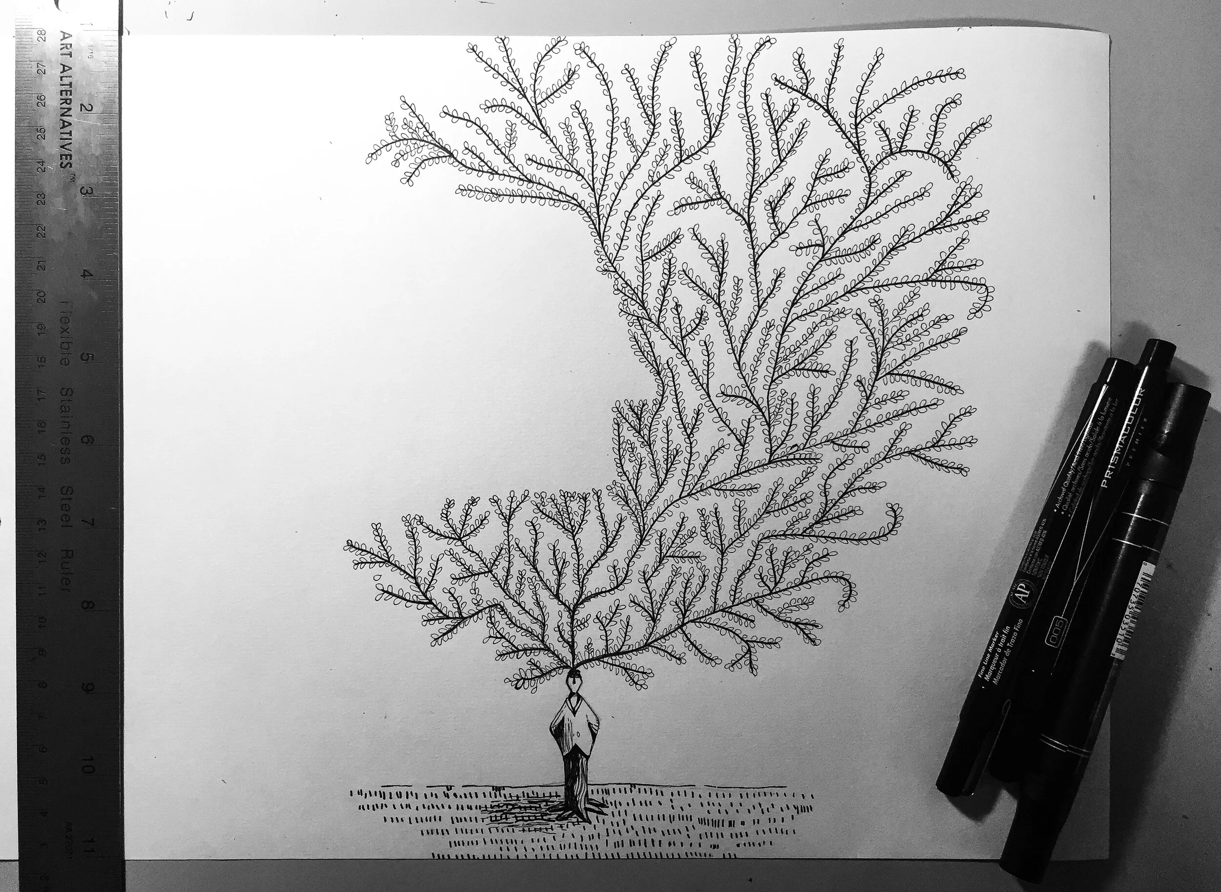 Sketch