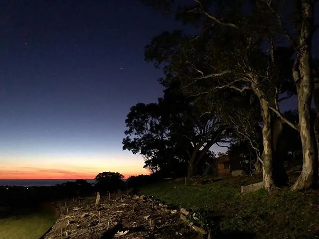 #chicken #run
&amp; #autumn #sunsets
Grateful for an awesome weekend.