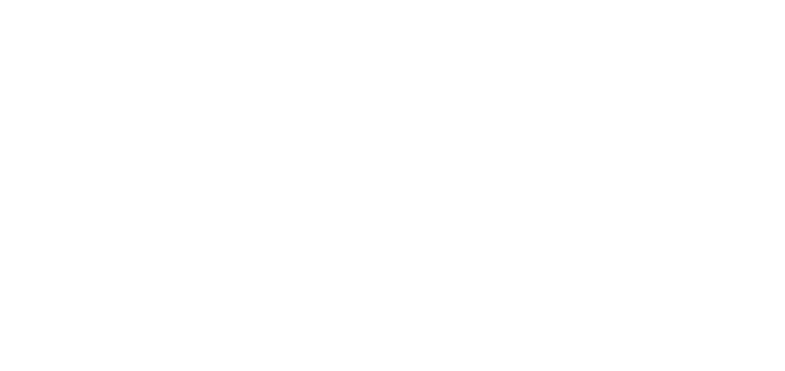Soul Reflection Co.