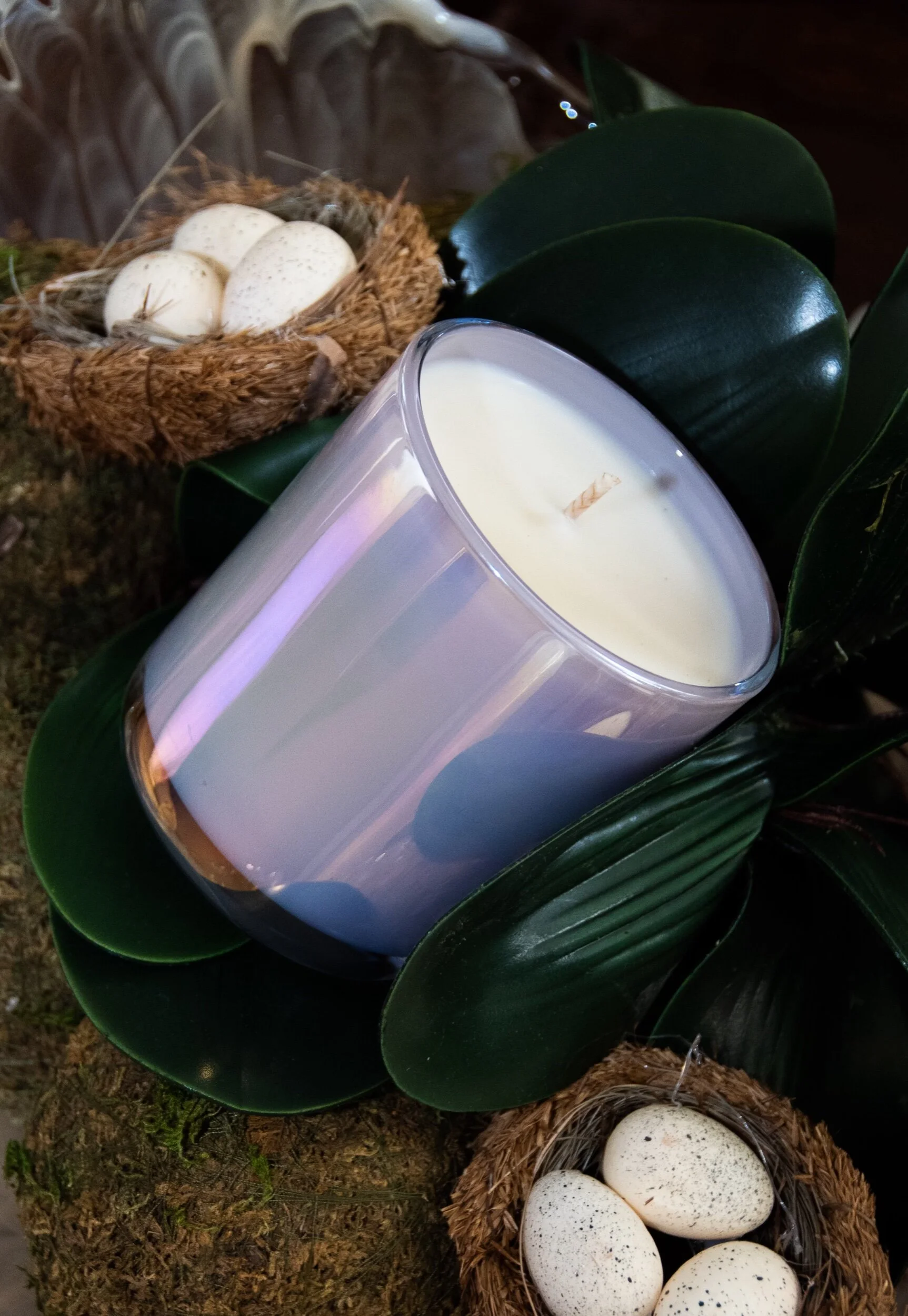 0990821A-164A-46FB-B7C6-881DAE6B8A38