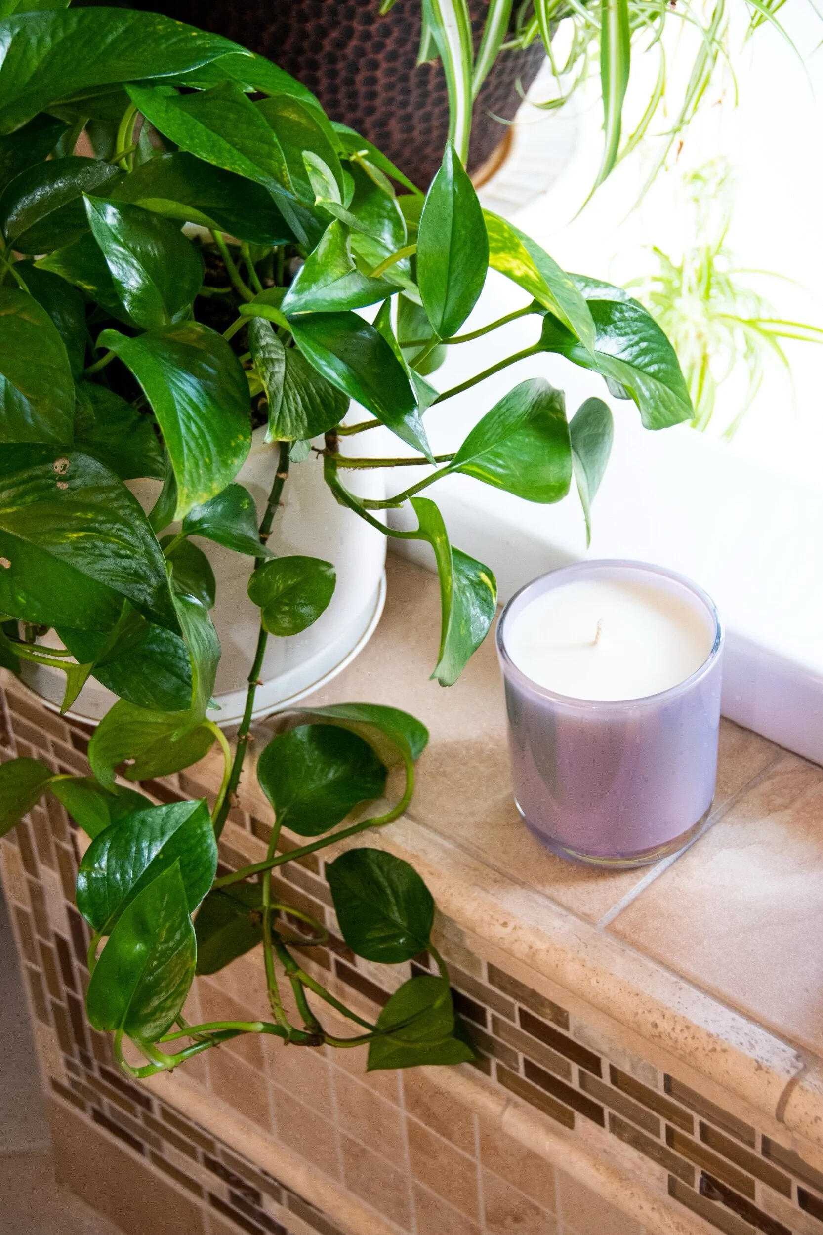 02D9A595-57FB-4363-BDC3-78C203738633