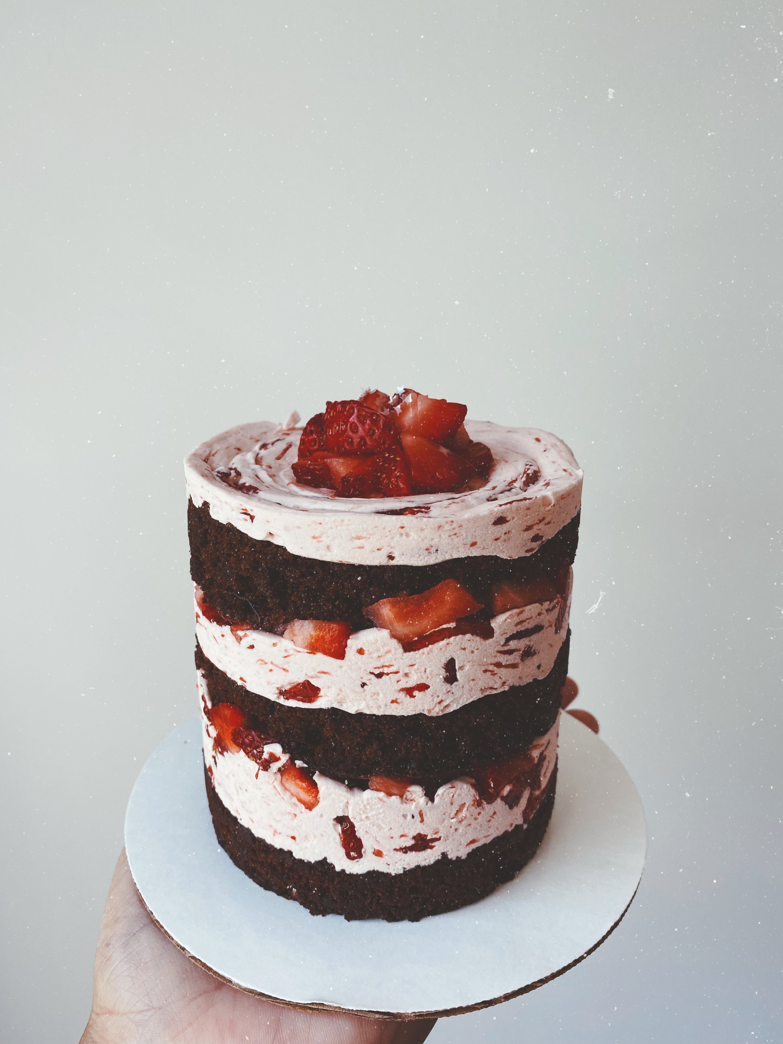 Mini Chocolate Berry cake 