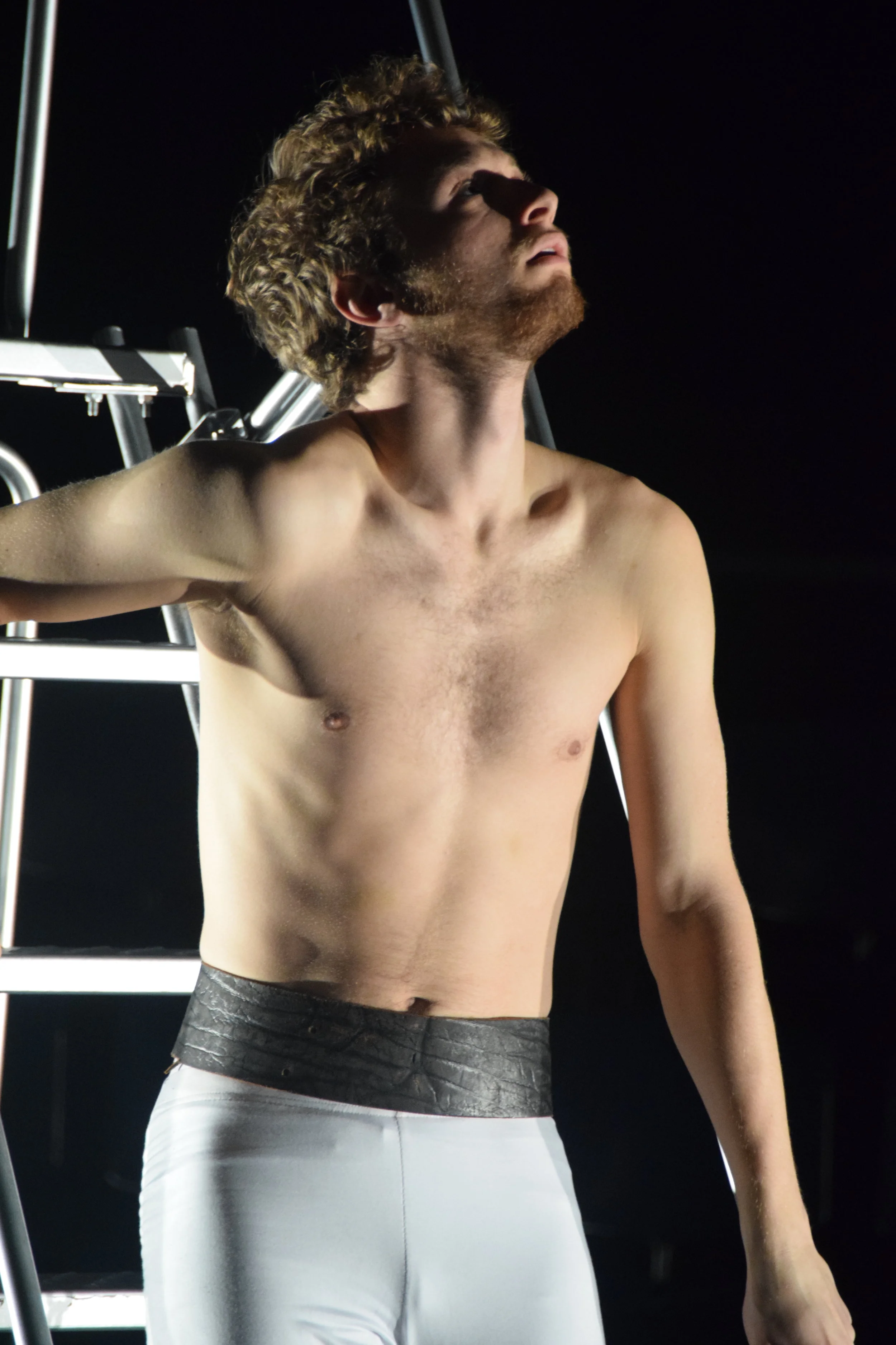  Life’s a Dream, UIC (2017) 