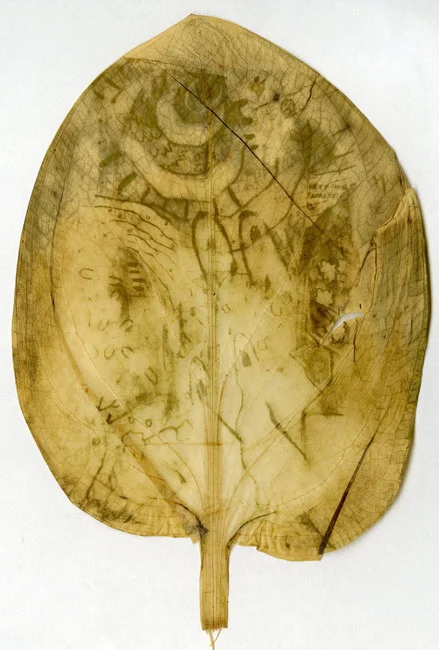 leaf4.jpg