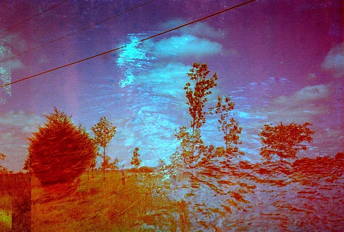37890018.jpg