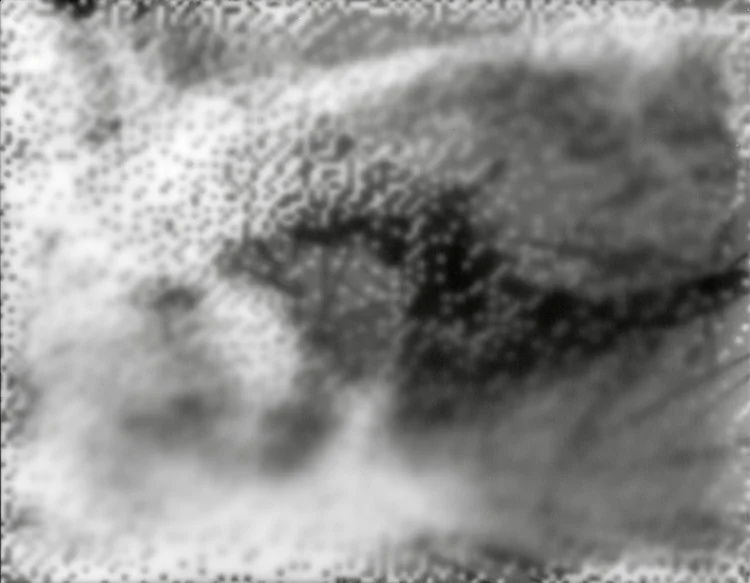 cognitive distortions no. 1