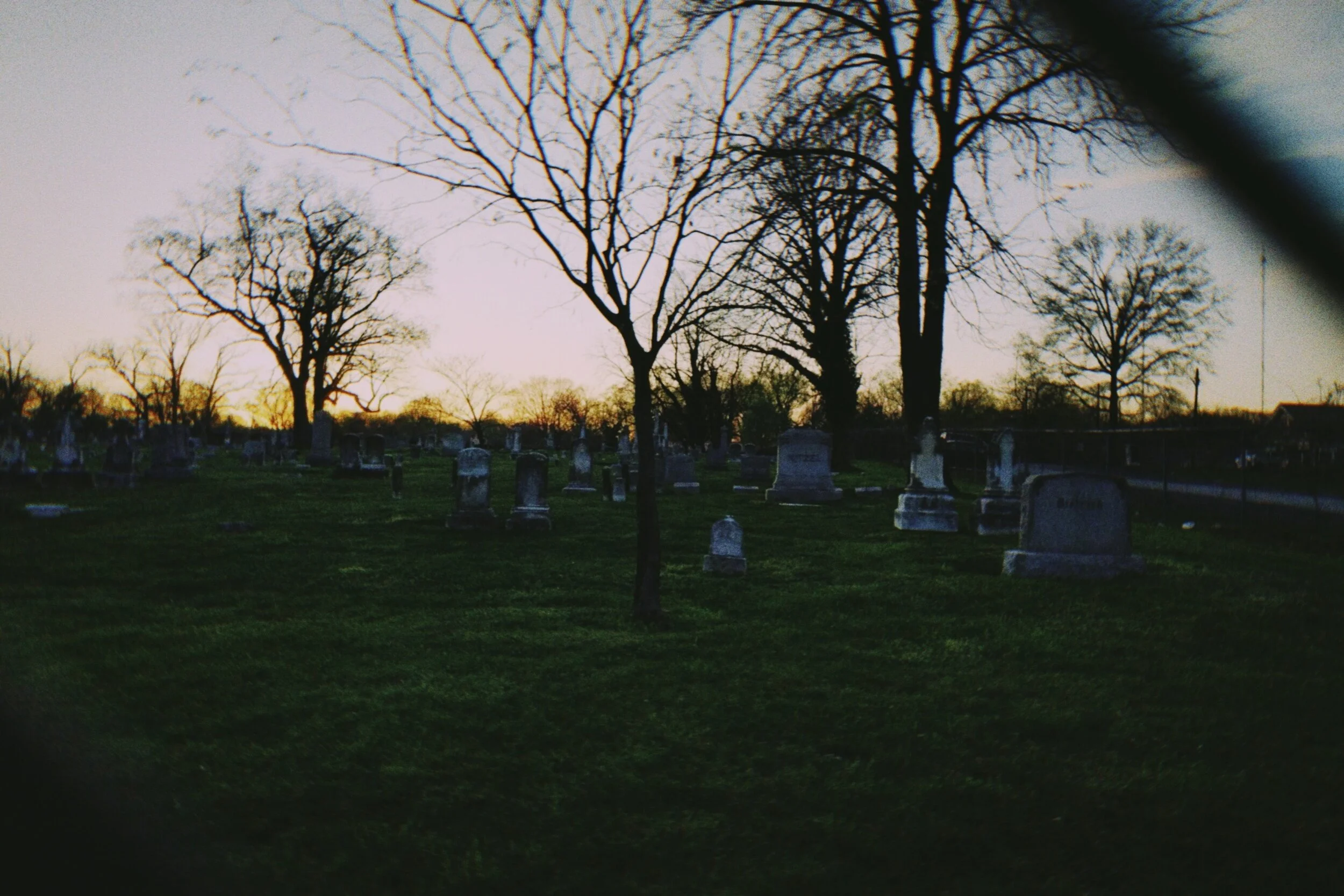 processed_1586215366776.jpg