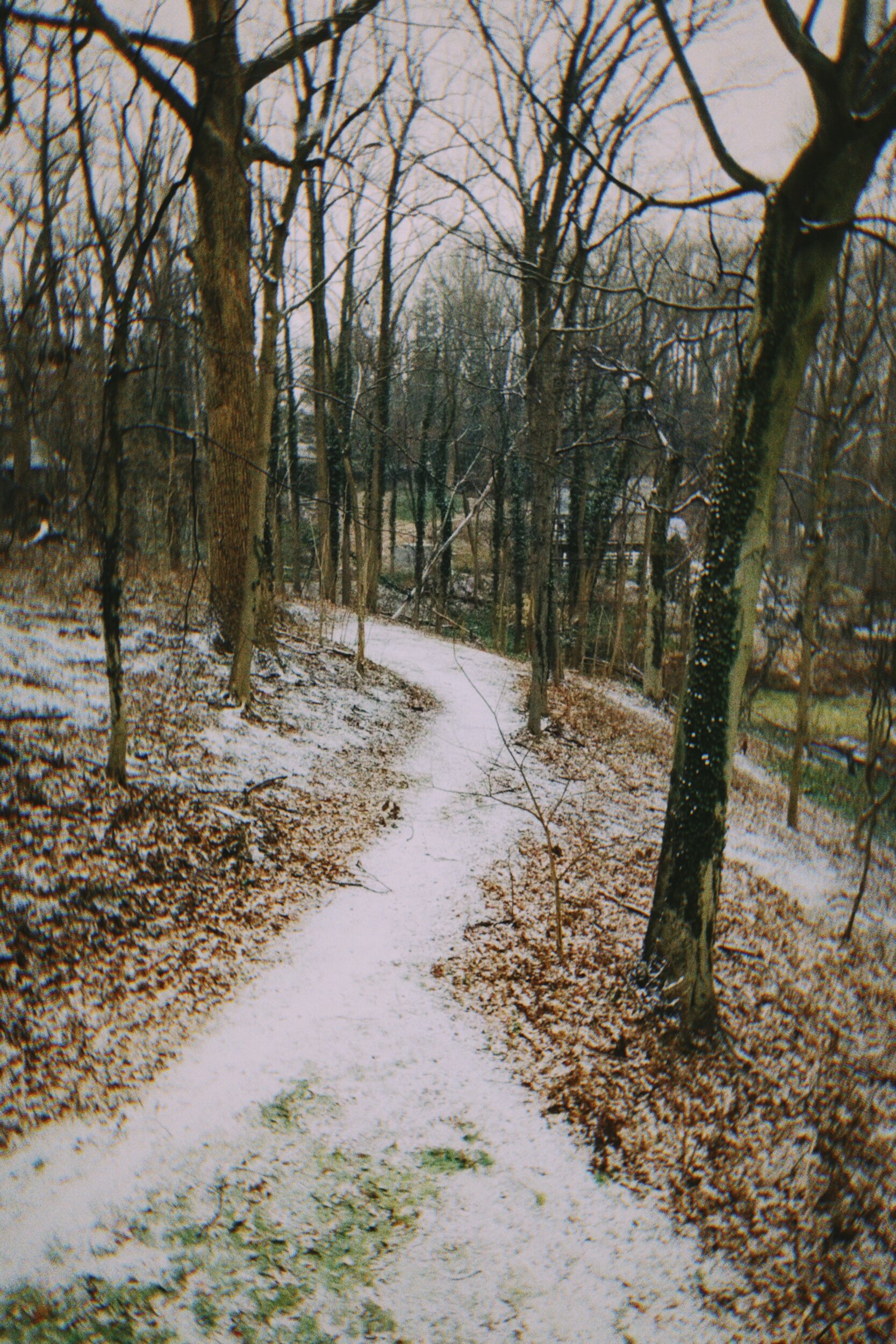 processed_1611677957714.jpg