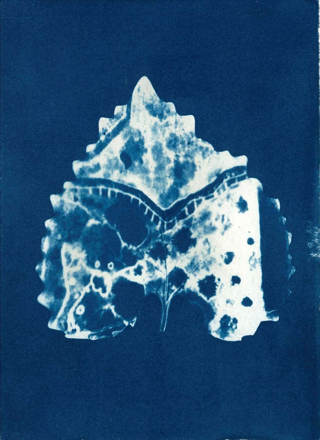 leaf-negative.jpg