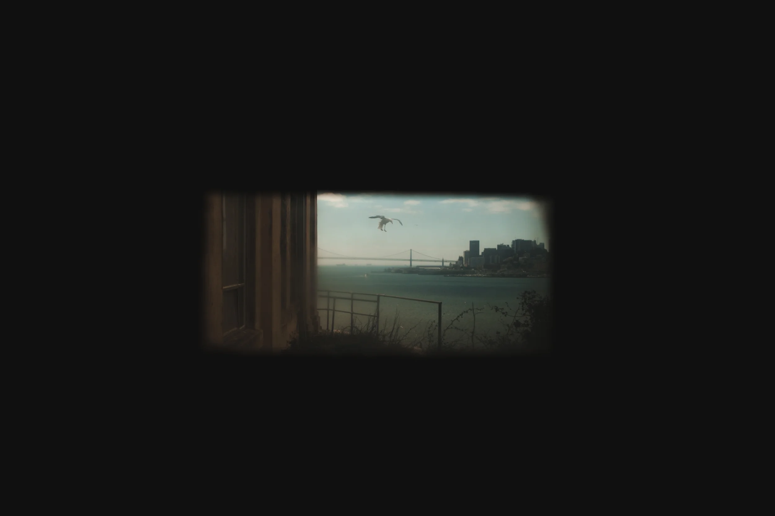  A window to the land of the free. Alcatraz Island, San Francisco, USA. July 2016. 