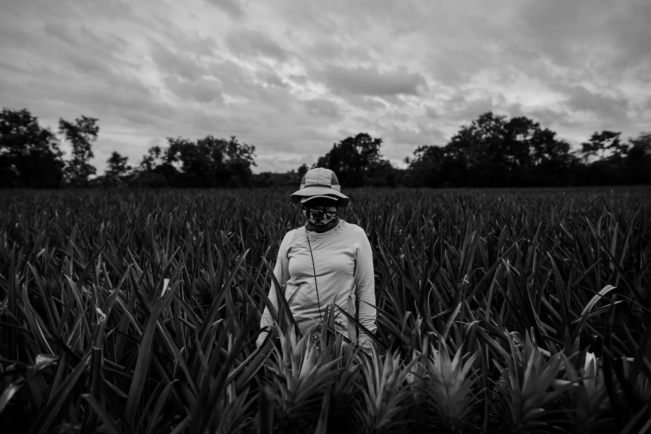 Mindanao (September 2018)-735597.jpg