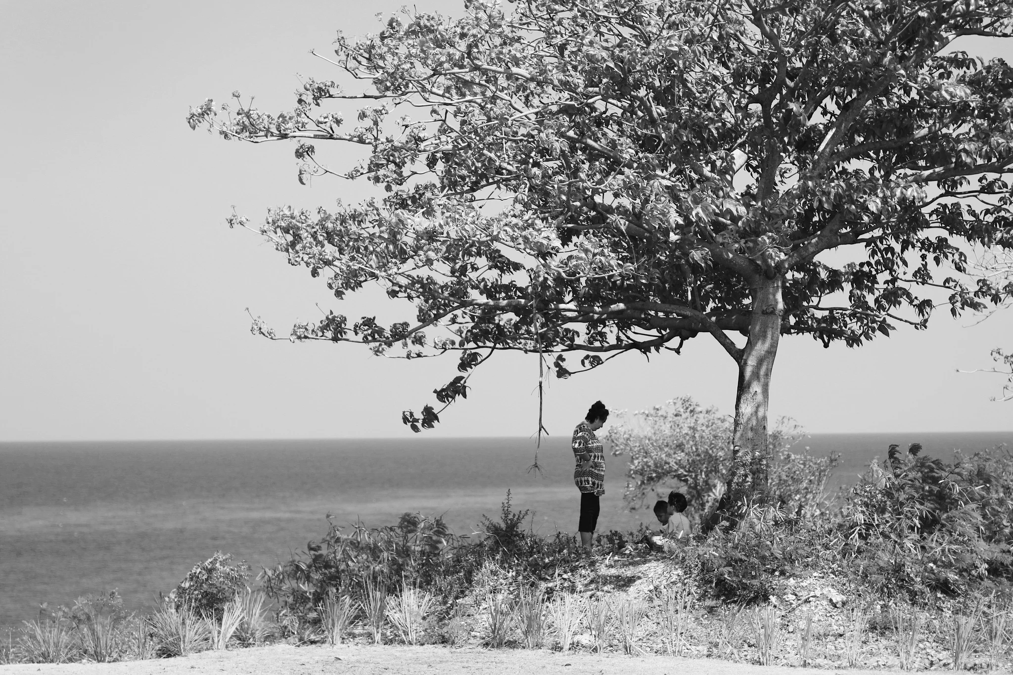  La Union. 2013. 