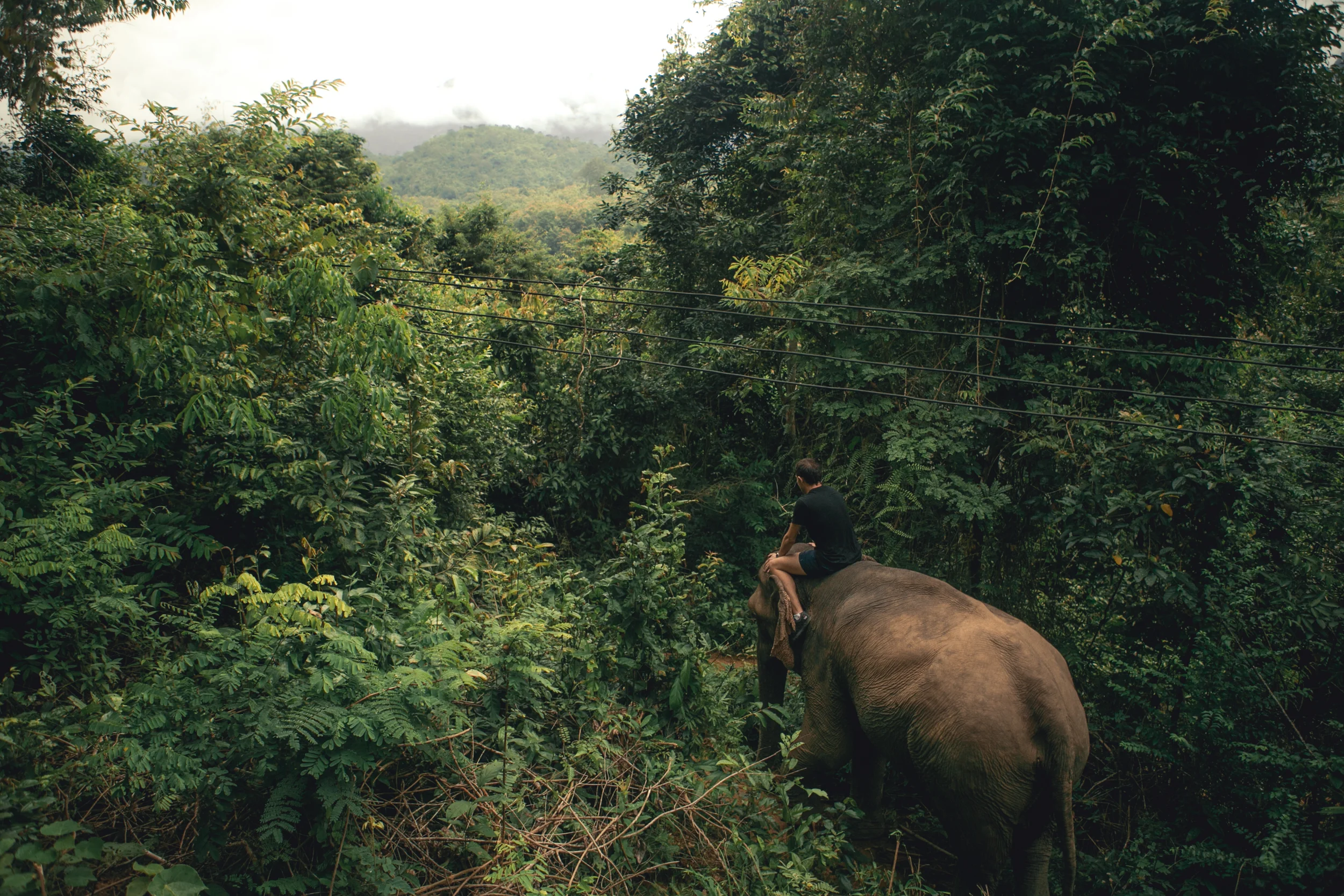  Laos, 2016. 