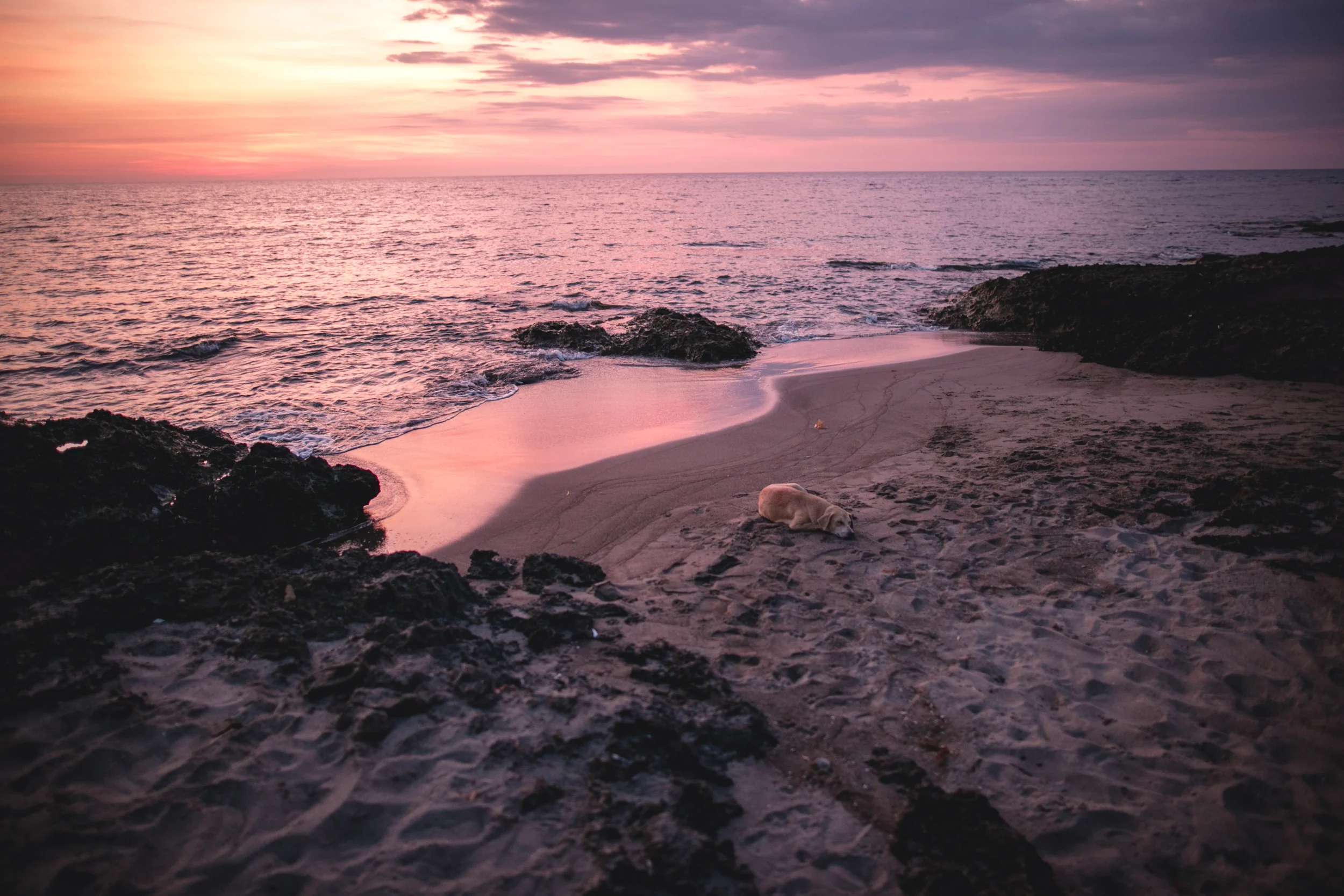  La Union, 2016. 