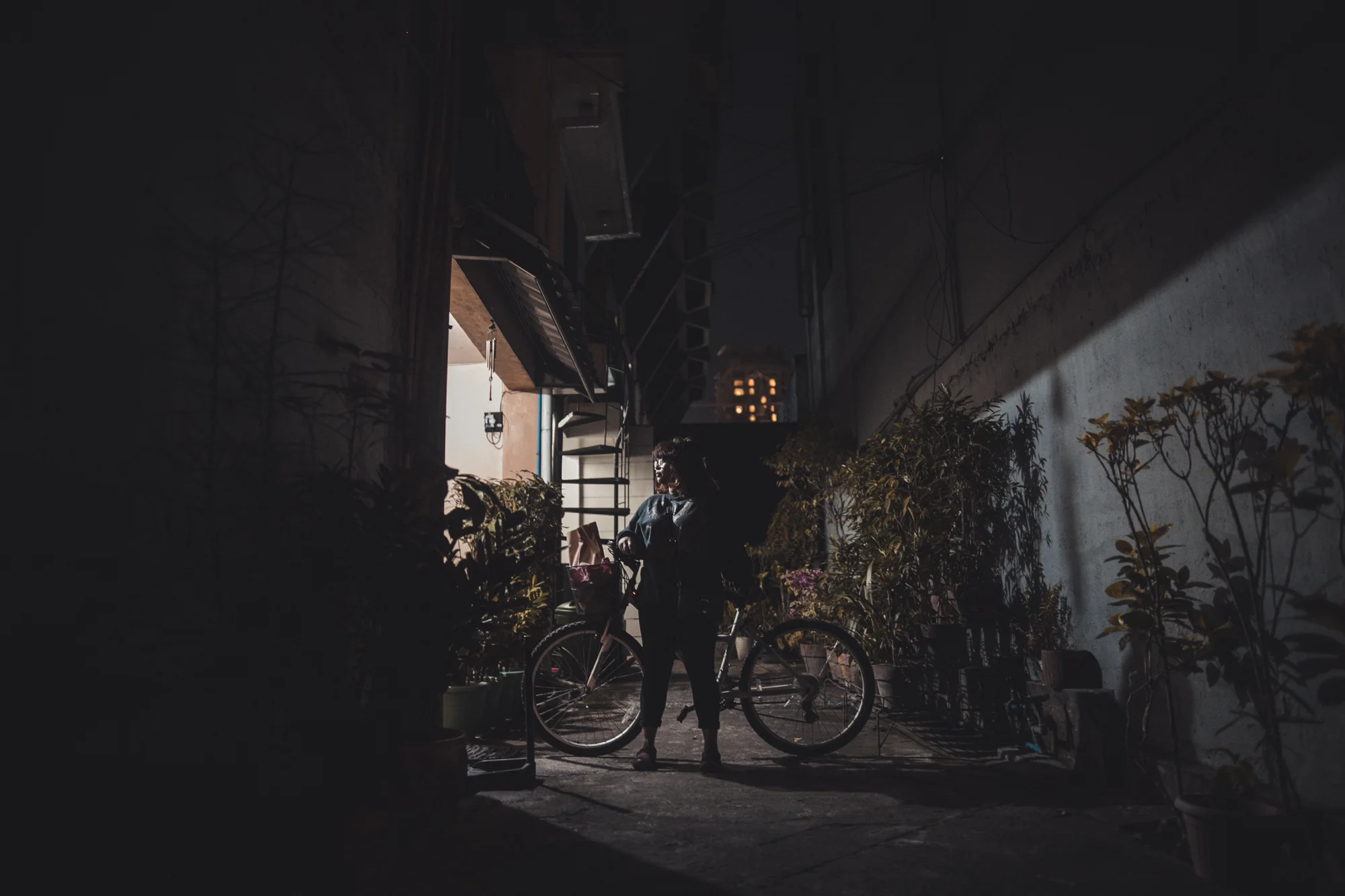 In-between Shadows.jpg