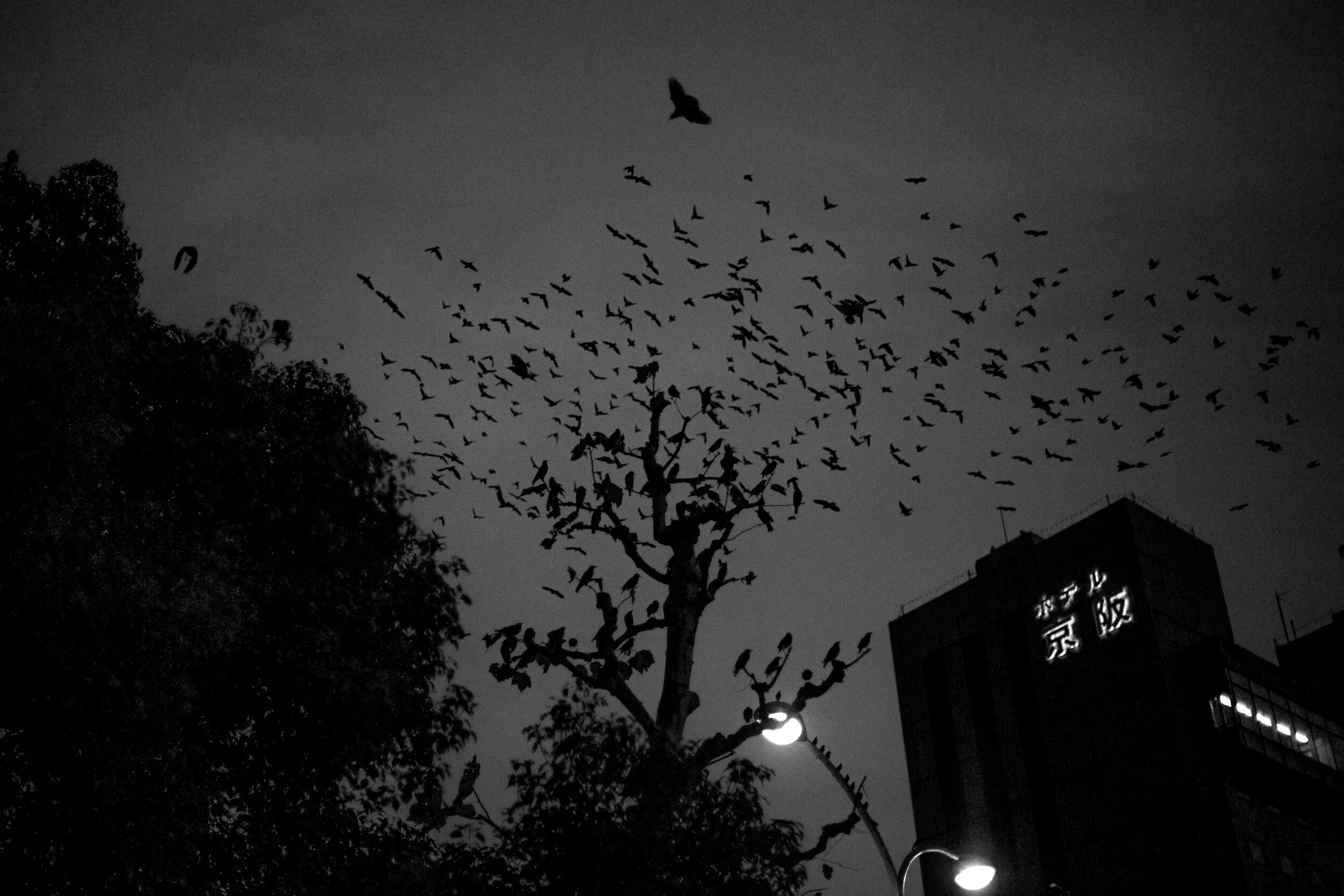  Kyoto, 2014. 