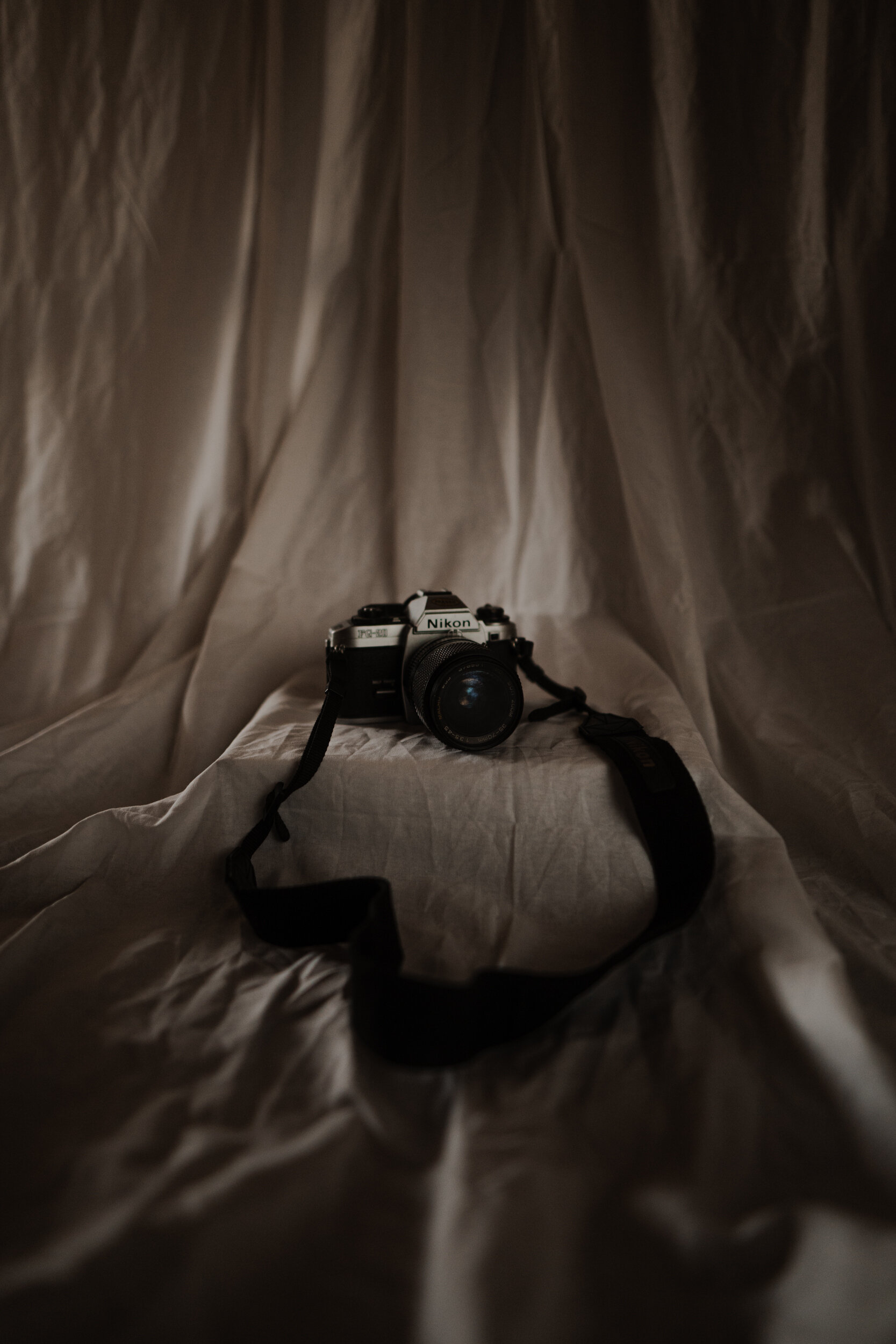 Remnants-November 02, 2020_A736986.jpg