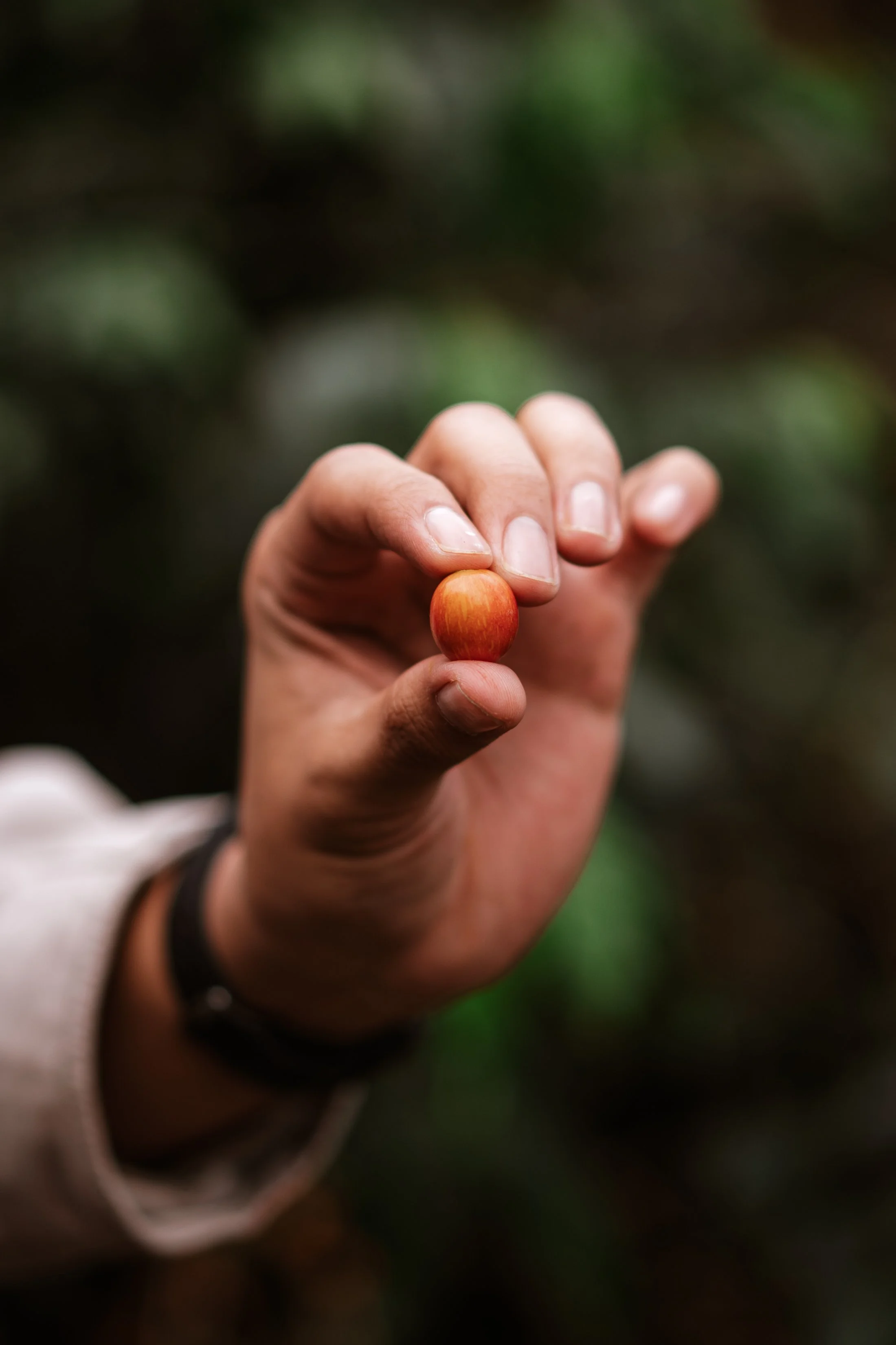 Work-Benguet Coffee Farm-December2021-5405.jpg